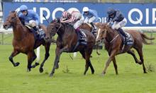 Champion Stakes 2016: Hobbs not out despite troubles