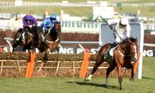 Weekend Preview: A favourable fact for Faugheen