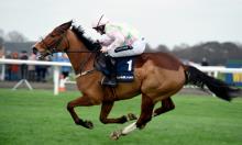 Ratings Update: Plenty of life left in Faugheen yet