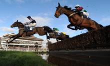 Rowleyfile Preview: Ladbrokes Trophy