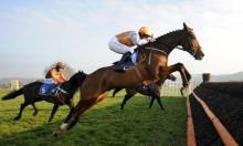 Hot To Trot: Purple patch for Gordon