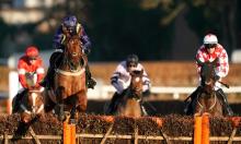 Ratings Update: Fiddlerontheroof lays down his Cheltenham credentials 