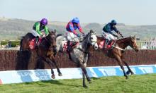 Hot To Trot: Bailey's Banjos to tune up for Cheltenham