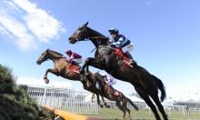Galway Plate preview: First Lieutenant?