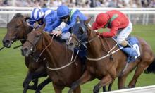 Scottish Sprint Cup Preview:  Bow primed to hit the target for Easterby