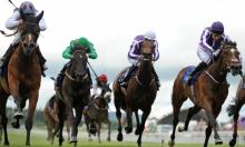 2000 Guineas Preview: O'Brien to make big impact again