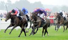 Hot to Trot: Jonjo back from break in top form