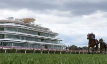 Melbourne Cup Preview: Constantinople has a lot in his favour