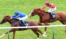 Jamie Lynch: The light and Dark in Godolphin’s Vision 