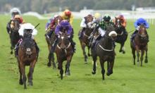 Hot To Trot: Sharja needs keeping on side