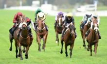 Rowleyfile Preview: 2018 King George V Handicap