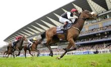 Sectional Debrief: British Champions Day 2016