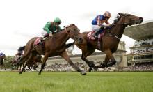 Breeders' Cup 2016: O'Brien has Found key to Turf success