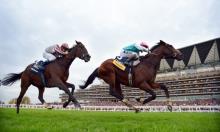 Jamie Lynch: Know limits for Frankel? 
