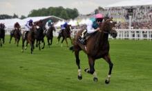 Ratings Update: Frankel's first group winner looks a star in the making