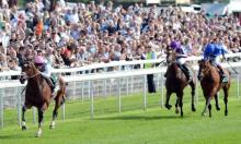 Frankel: Performance as a sire