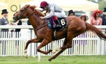 Hot To Trot: Only Fools and Kings for Brisland