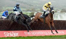 Haldon Gold Cup Preview: Stick with the old Garde