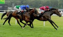 French Preview: An Intellogent bet