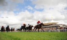 Sussex Stakes 2016: Ballydoyle send The Gurkha into battle alone