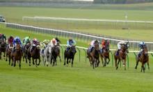 Rowleyfile Preview: Cambridgeshire Handicap