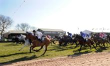 Grand National 2018 Preview: Best jockey and horse partnerships