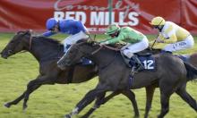 Hot To Trot: Godolphin causing a splash