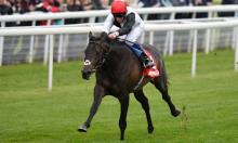 York Preview: I-Dante-ty Parade