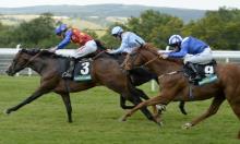 Celebration Mile: Stoute in the Thik of it again