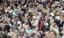 Sectional Debrief: Sussex Stakes and day two of Glorious Goodwood