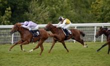 Rowleyfile Preview: Qatar Stewards’ Cup 2016