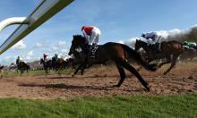 Topham Chase: Nicholls set for Bouvreuil title boost