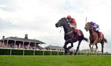 November Handicap Preview: Williams' grey can Saunter to success