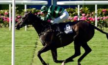 Rowleyfile Preview: 2018 International Handicap