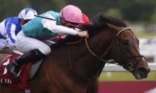 Ratings Update: Quadrilateral shaping like a Guineas filly