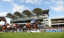 Coronation Stakes Preview: Back the beauty