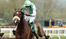 Hot To Trot: Shark attack