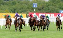 Ratings Update: From California to Arrogate