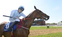 Fairyhouse preview: Honeysuckle can be the Hatton's Grace heroine