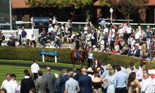 Hot To Trot: An exhibition from Tate