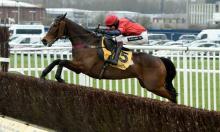 Rowleyfile Preview: Ladbrokes Trophy