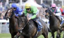 Hot To Trot: Talaayeb a big talent for Burrows