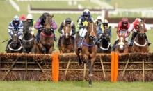 Be Wiser Insurance Juvenile Hurdle Preview: Groveman the value