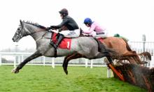 Lanzarote Handicap Hurdle: Jaleo appealing for Pauling