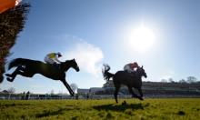 Ratings Update:  Tingle Creek meeting