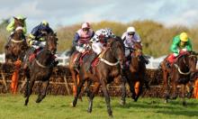 Hot to Trot: Kerry to carry on good form