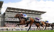 Japan Cup Preview: Kitasan Black can go back to back