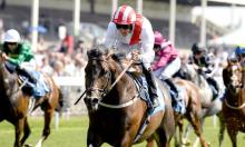 Hot To Trot: Winners can continue to flow for Tate with River Cam