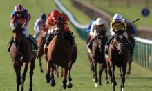 Timefigure Guineas Preview: Ir-resistable bet on Sunday