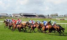 Hot To Trot: Be wary of Whittington